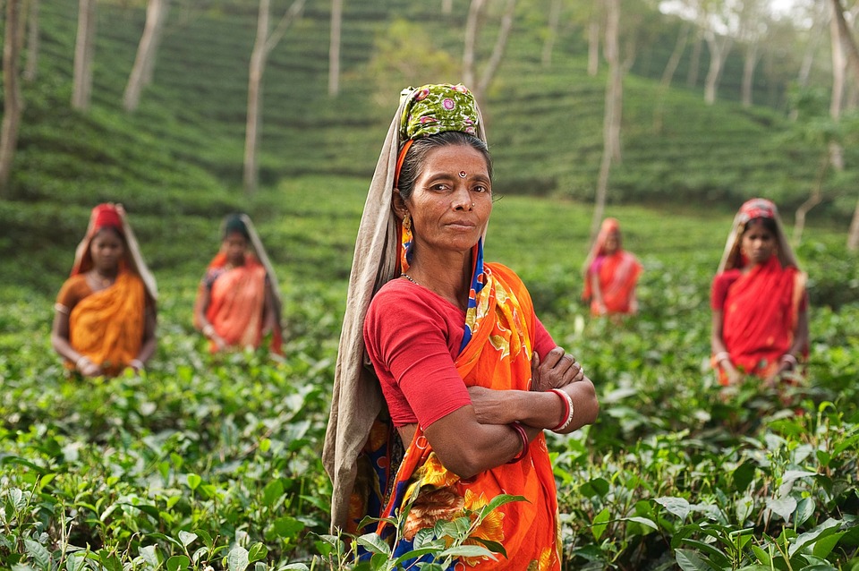 FPO and Farmer Partnerships