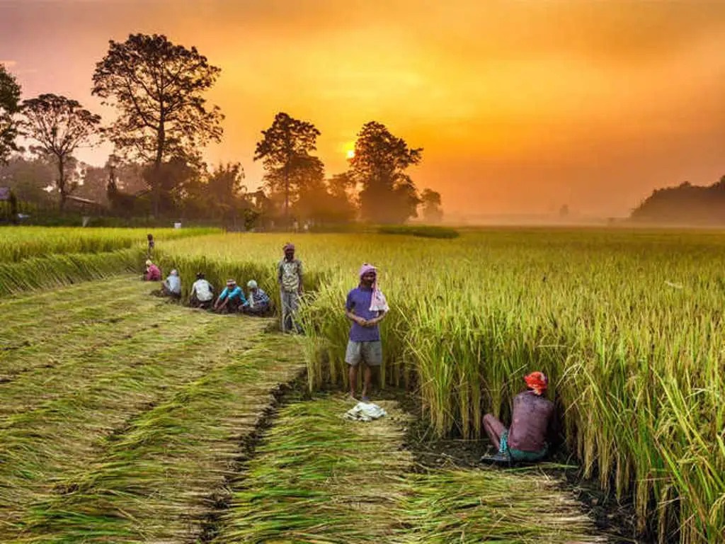 FPO and Farmer Partnerships