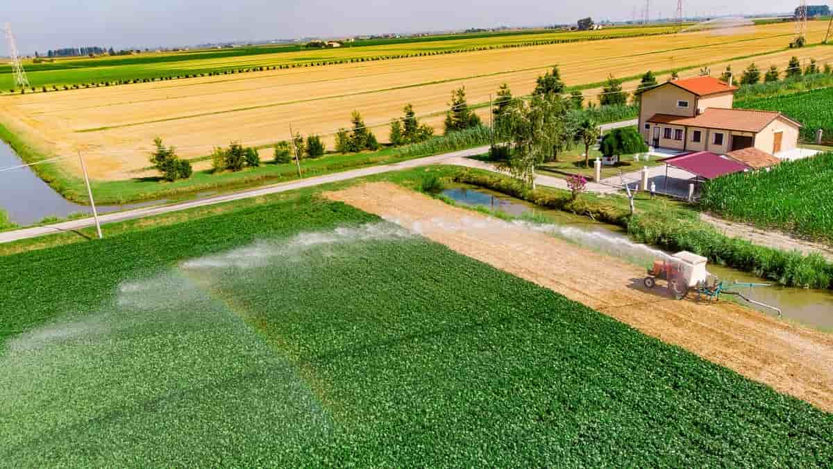 Sustainable Agricultural Practices